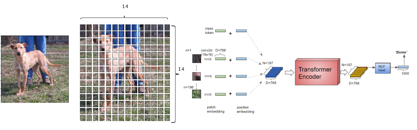 ViT – Áp dụng Transformer cho ảnh đầu vào
